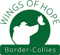 Wings of Hope Border Collies